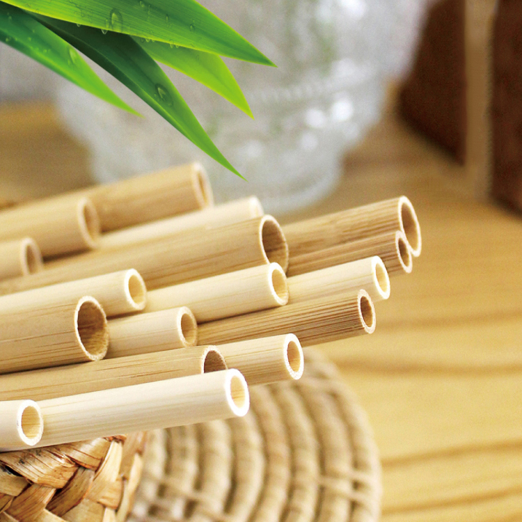 Bamboo Straw